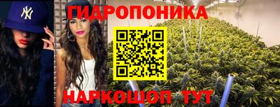 дурь Будённовск